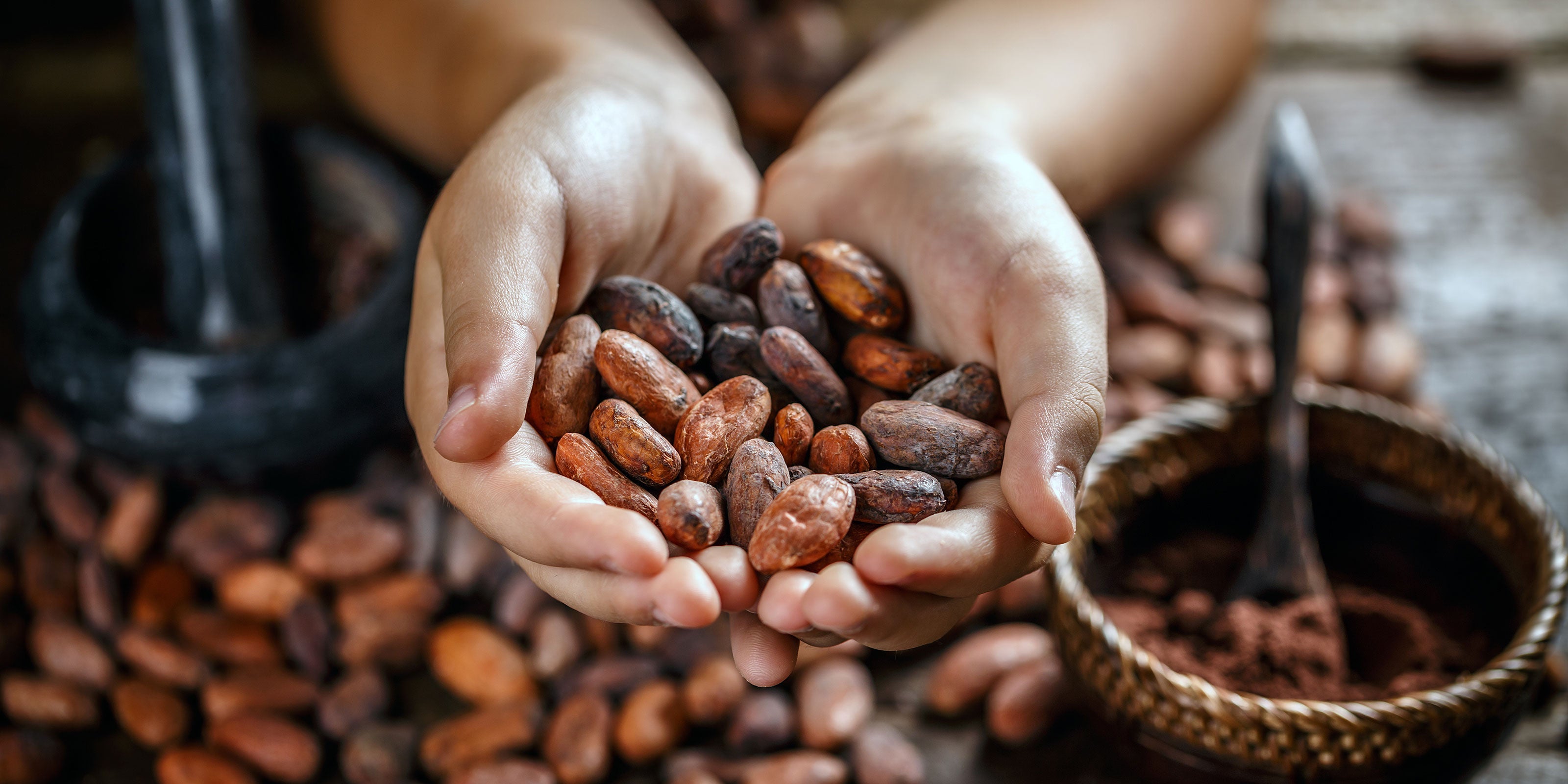 How to Make the Perfect Cup of Heart Healer® Ceremonial Grade Cacao